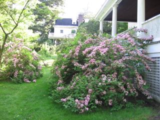 The gardens at the Mead House